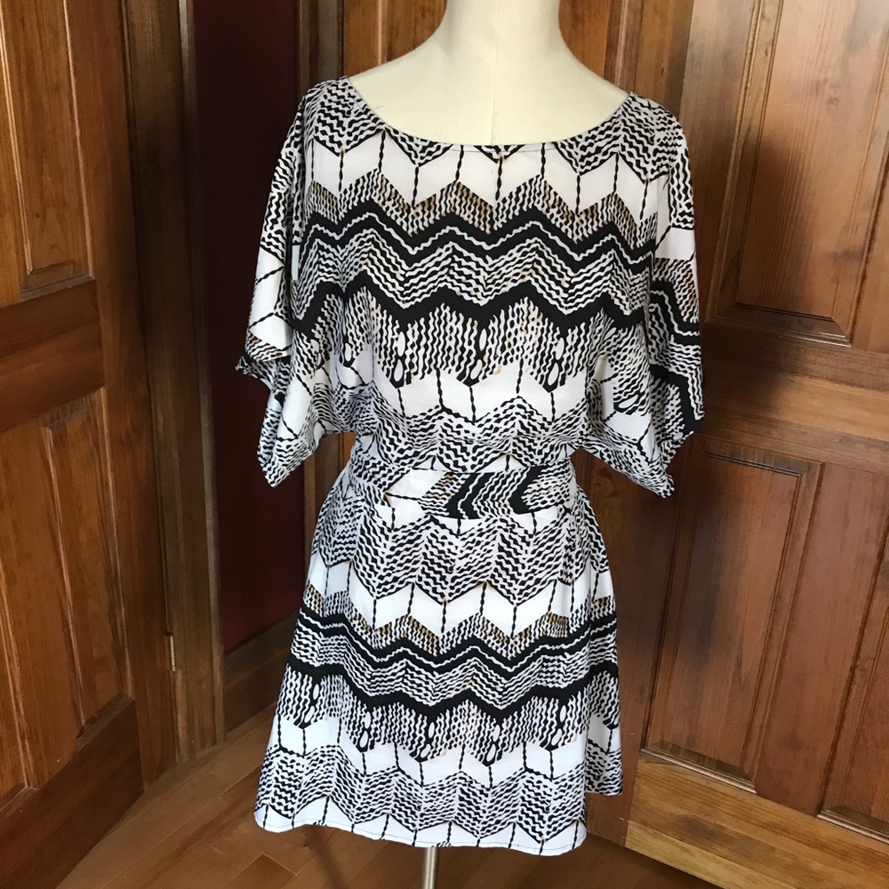 2 for $40 BCBG Animal Print Dress